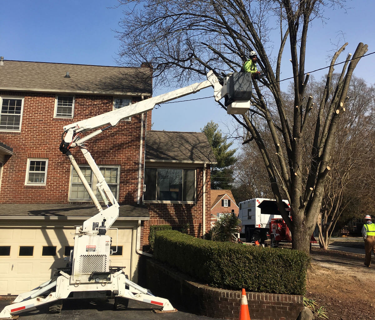 Residential Tree Services-Riviera Beach Tree Trimming and Tree Removal Services-We Offer Tree Trimming Services, Tree Removal, Tree Pruning, Tree Cutting, Residential and Commercial Tree Trimming Services, Storm Damage, Emergency Tree Removal, Land Clearing, Tree Companies, Tree Care Service, Stump Grinding, and we're the Best Tree Trimming Company Near You Guaranteed!