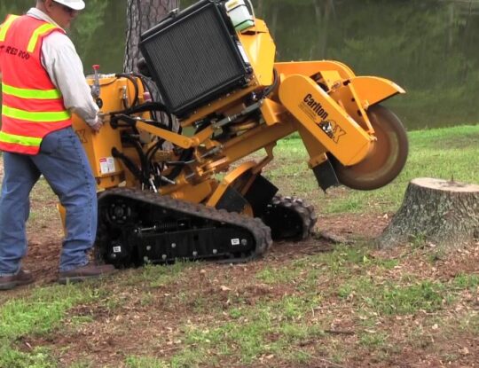 Stump Grinding & Removal-Riviera Beach Tree Trimming and Tree Removal Services-We Offer Tree Trimming Services, Tree Removal, Tree Pruning, Tree Cutting, Residential and Commercial Tree Trimming Services, Storm Damage, Emergency Tree Removal, Land Clearing, Tree Companies, Tree Care Service, Stump Grinding, and we're the Best Tree Trimming Company Near You Guaranteed!