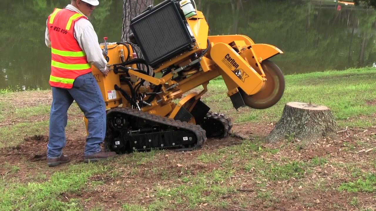 Stump Grinding & Removal-Riviera Beach Tree Trimming and Tree Removal Services-We Offer Tree Trimming Services, Tree Removal, Tree Pruning, Tree Cutting, Residential and Commercial Tree Trimming Services, Storm Damage, Emergency Tree Removal, Land Clearing, Tree Companies, Tree Care Service, Stump Grinding, and we're the Best Tree Trimming Company Near You Guaranteed!
