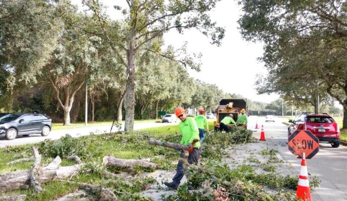 Commercial Tree Services Affordable-Pro Tree Trimming & Removal Team of Riviera Beach