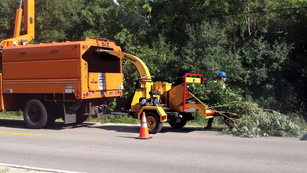 Commercial Tree Services Near Me-Pro Tree Trimming & Removal Team of Riviera Beach