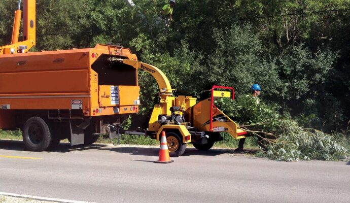 Commercial Tree Services Near Me-Pro Tree Trimming & Removal Team of Riviera Beach