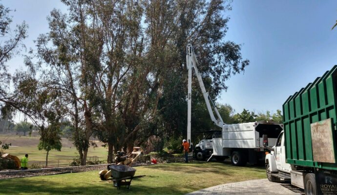 Commercial Tree Services Riviera Beach-Pro Tree Trimming & Removal Team of Riviera Beach