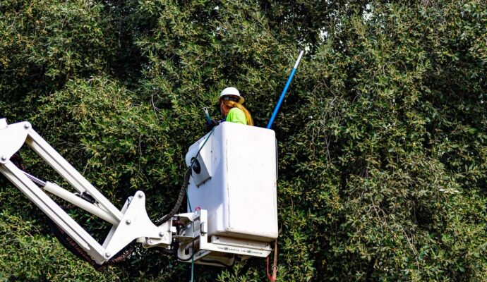 Commercial-Tree-Services-Services Pro-Tree-Trimming-Removal-Team-of-Riviera Beach
