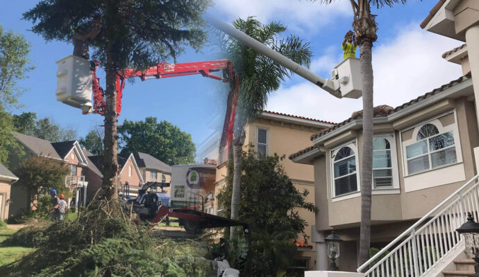 Residential Tree Services Affordable-Pro Tree Trimming & Removal Team of Riviera Beach