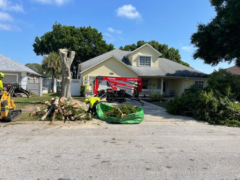 Residential Tree Services Riviera Beach-Pro Tree Trimming & Removal Team of Riviera Beach