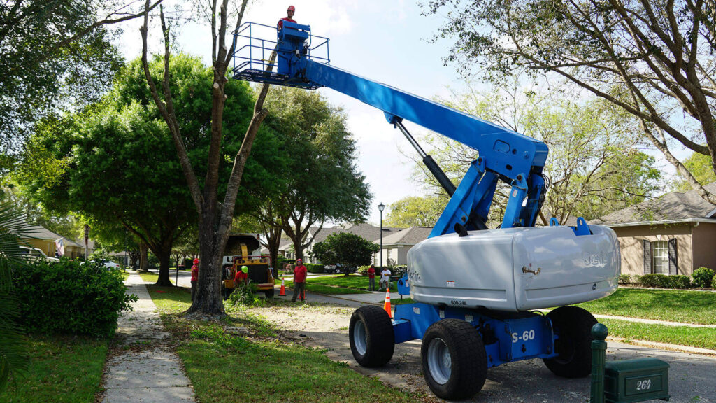 Riviera Beach Residential Tree Services-Pro Tree Trimming & Removal Team of Riviera Beach