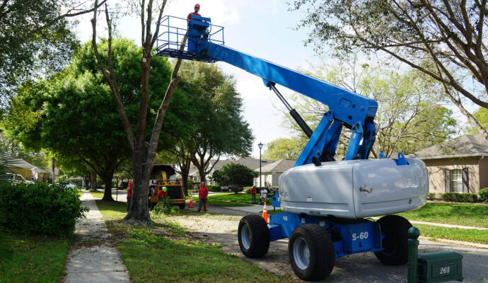 Riviera Beach Residential Tree Services-Pro Tree Trimming & Removal Team of Riviera Beach