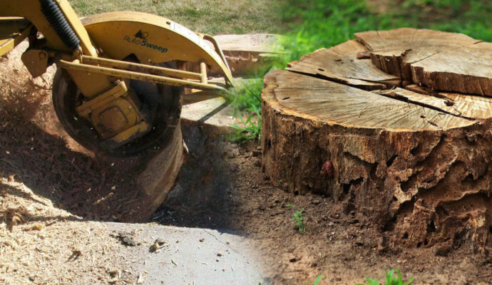 Stump Grinding & Removal Affordable-Pro Tree Trimming & Removal Team of Riviera Beach
