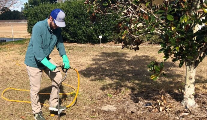 Deep Root Injection Experts-Pro Tree Trimming & Removal Team of Riviera Beach