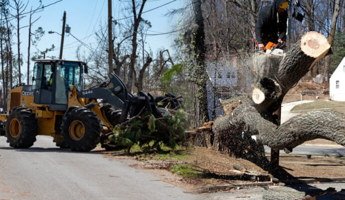 Emergency Tree Removal Experts-Pro Tree Trimming & Removal Team of Riviera Beach