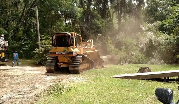 Land Clearing Experts-Pro Tree Trimming & Removal Team of Riviera Beach