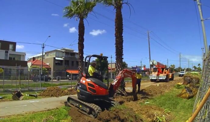 Palm Tree Removal-Pros-Pro Tree Trimming & Removal Team of Riviera Beach