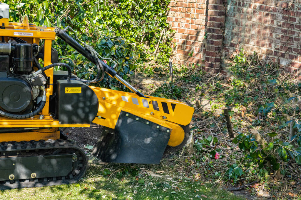 Stump Grinding-Pros-Pro Tree Trimming & Removal Team of Riviera Beach