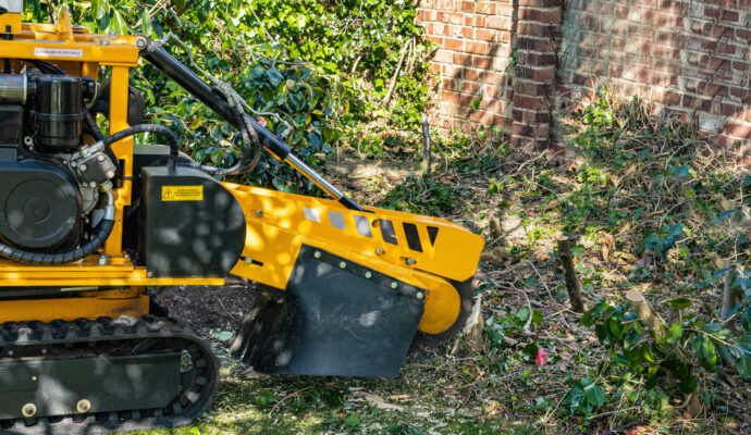 Stump Grinding-Pros-Pro Tree Trimming & Removal Team of Riviera Beach