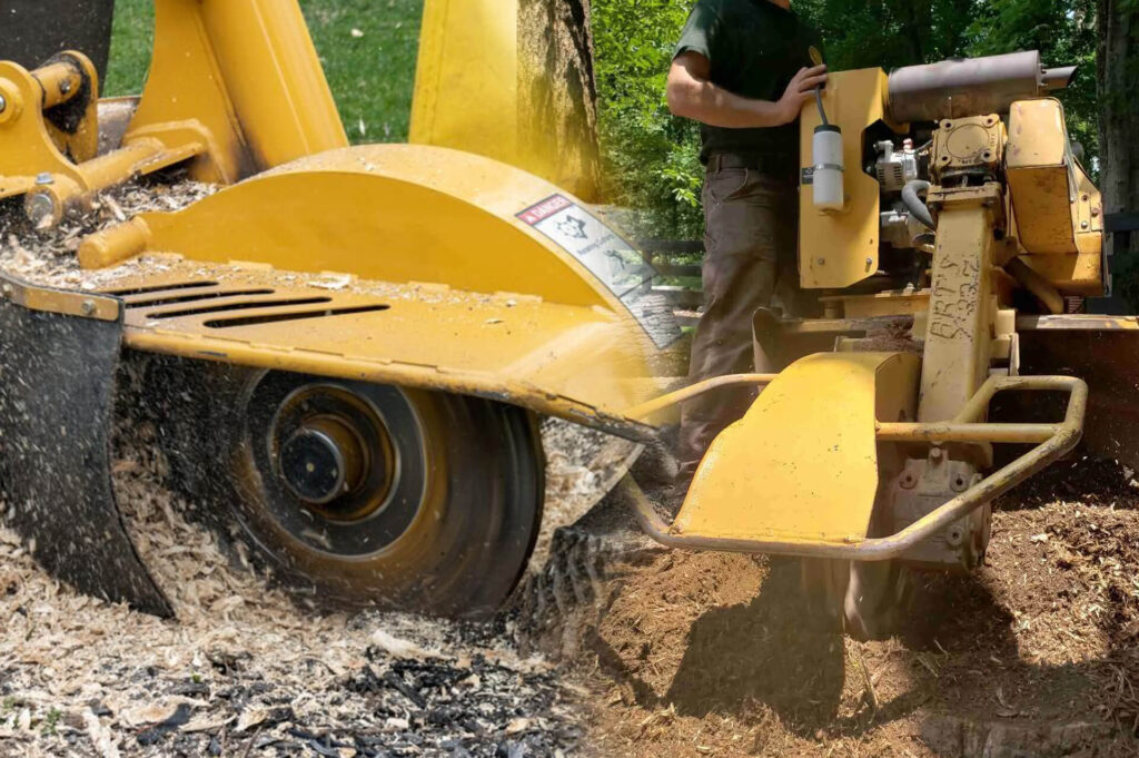 Stump Grinding & Removal Experts-Pro Tree Trimming & Removal Team of Riviera Beach