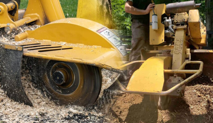Stump Grinding & Removal Experts-Pro Tree Trimming & Removal Team of Riviera Beach