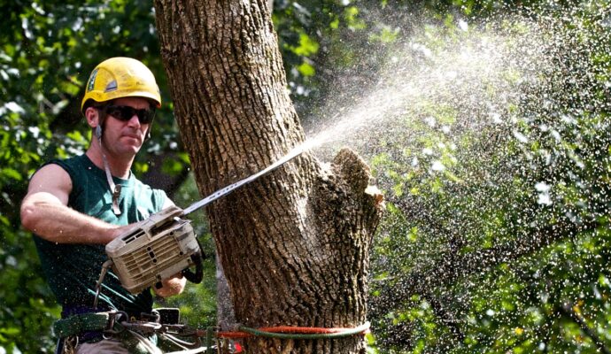 Tree Trimming-Pros-Pro Tree Trimming & Removal Team of Riviera Beach